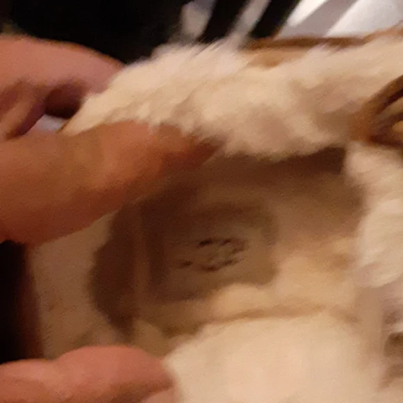 UGG  slipper  size  8 women - Picture 6 of 6